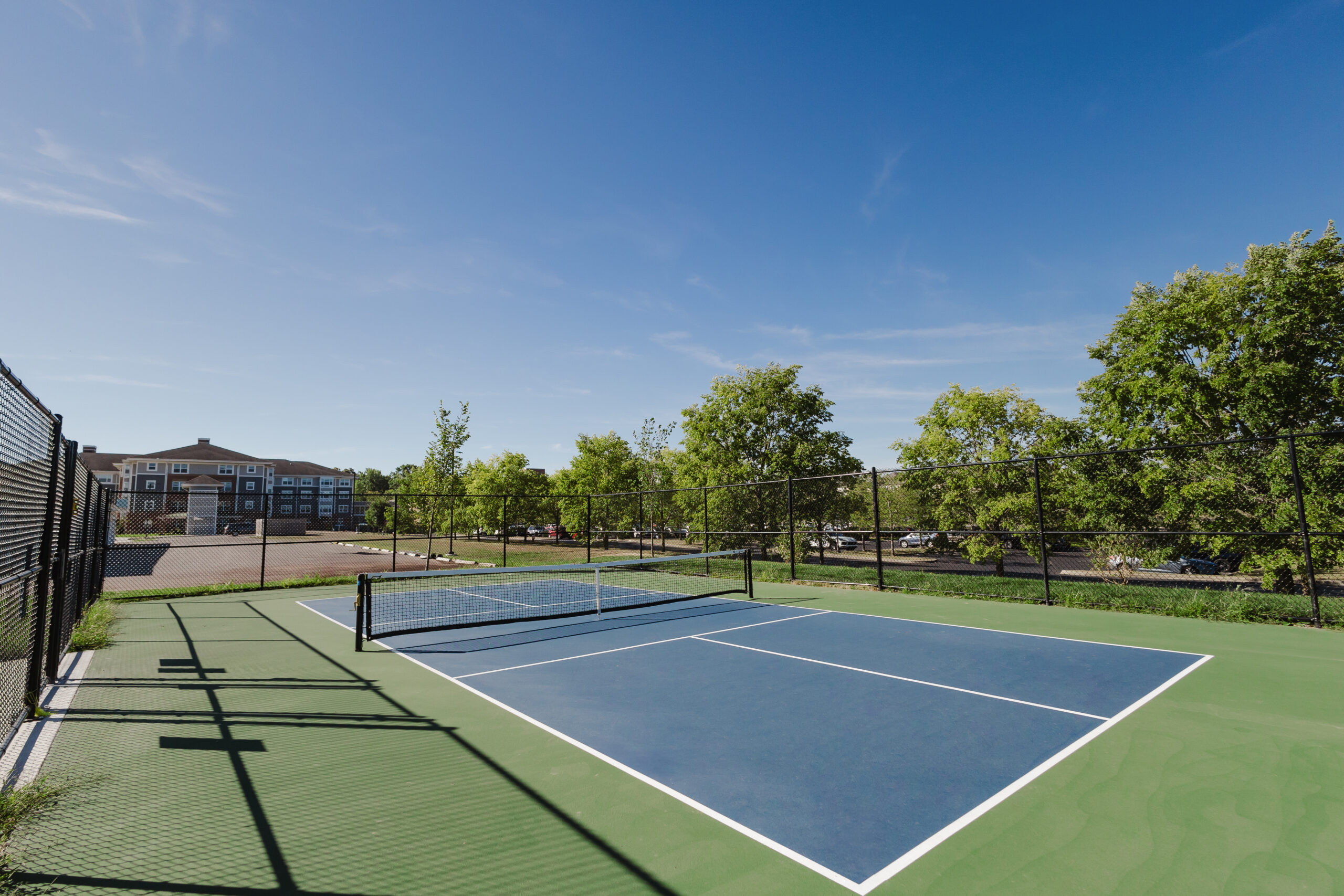 A blue and green outdoor pickleball court surrounded by a black fence, with trees and parked cars in the background under a clear blue sky.